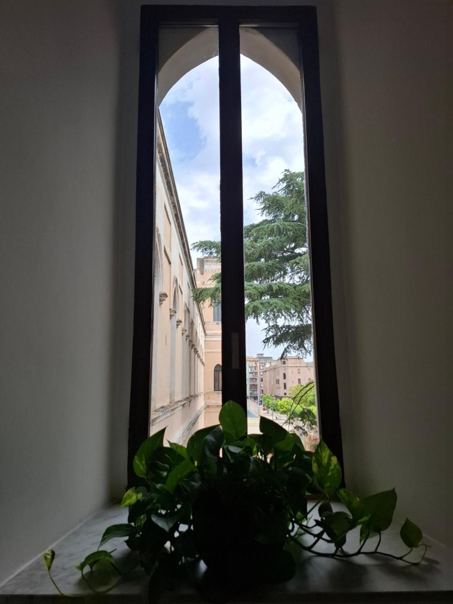 Lupi E Agnelli Bed and Breakfast Μπάρι Εξωτερικό φωτογραφία
